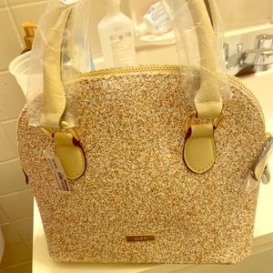 Aldo Gold/Silver Stein-less Diamond Hand Purse